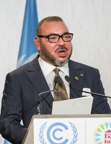 Vua Mohammed VI (Morocco): 70,8 triệu ha Mohammed VI, là vị vua Vương quốc Maroc. Ông đăng cơ ngày 23/7/1999 sau khi phụ hoàng của mình băng hà. Ông sở hữu khối tài sản trị giá khoảng 2 tỷ USD, trong đó có 70,8 triệu ha bất động sản.