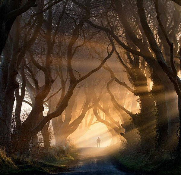 16. Đường cây sồi già Dark Hedges gần ngôi làng Armoy ở Bắc Ai-len Đường cây sồi già Dark Hedges nằm dọc trên một con đường nhỏ yên tĩnh Bregagh, gần ngôi làng Armoy ở Bắc Ireland. Hàng cây sồi này được gia đình Stuart trồng từ thế kỷ XVIII với dự định tạo nên cảnh quan đẹp mắt nhằm gây ấn tượng với các vị khách đến dinh thự của mình. Hai thế kỷ sau, hàng sồi cổ thụ vẫn giữ được vẻ đẹp tuyệt vời của mình và trở thành một trong những kiệt tác thiên nhiên được chụp ảnh nhiều nhất ở vùng Bắc Ireland.