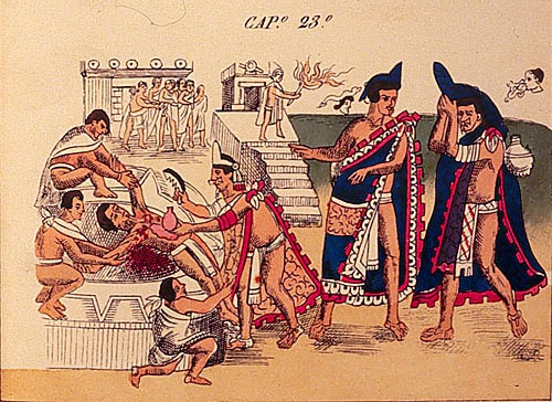 Nạn nhân chủ yếu trong các nghi lễ hiến tế người của nền văn minh Aztec là trinh nữ và trẻ em.