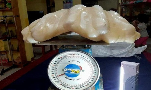 Vào năm 2007, một ngư dân Philippines giấu tên vô tình tìm thấy khối ngọc trai nặng 34 kg ở vùng biển ngoài khơi đảo Palawan.