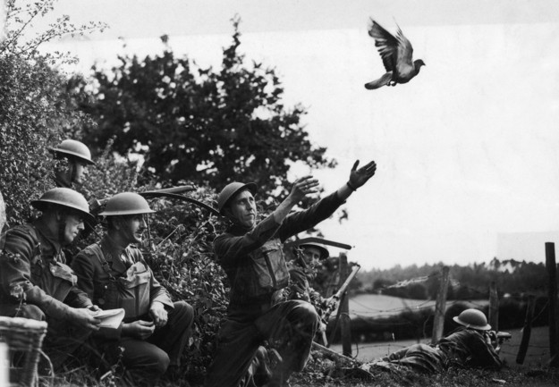 Vào ngày 3/10/1918, hơn 500 người thuộc Tiểu đoàn 308 thuộc Sư đoàn Bộ binh 77 bị mắc kẹt trong rừng Argonne với bốn bề bị quân Đức bao vây.