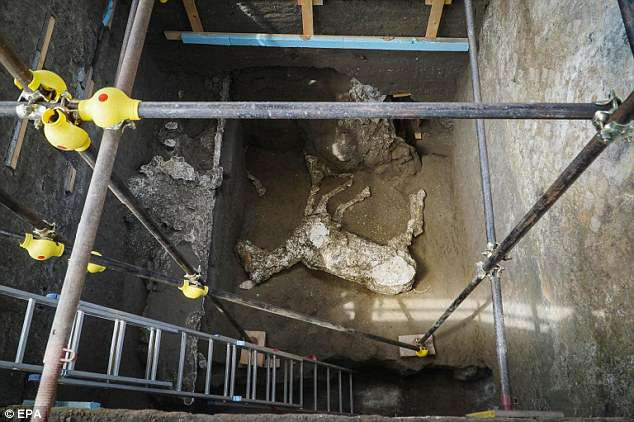 Khu vực tìm thấy xác con ngựa trên được gọi là Civita Giuliana, phía Bắc thành phố cổ Pompeii.