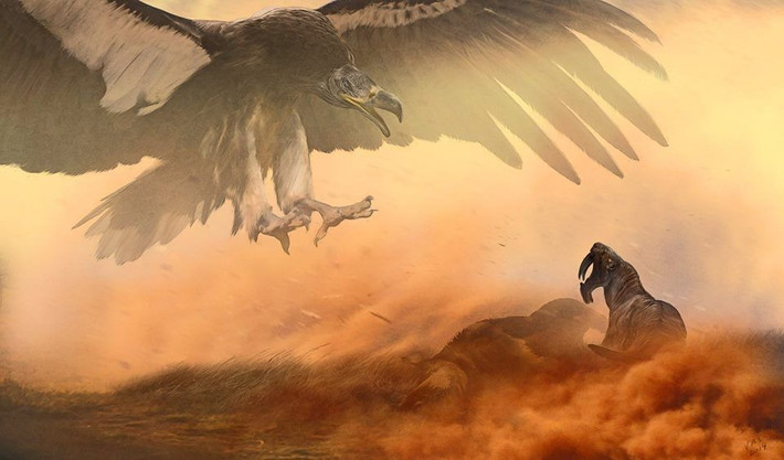 Theo các chuyên gia, sải cánh của loài chim Argentavis magnificens lên tới 6 - 8m và cao khoảng 2m. Do có kích thước cơ thể quá lớn nên loài chim này không thể giữ thăng bằng liên tục trên không bằng cách vỗ cánh. Thay vào đó, chúng phải thường xuyên chao lượn để tận dụng lực nâng của gió.