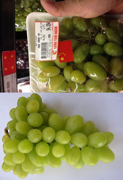 Khi nhìn vào chùm nho bạn thử ước lượng trọng lượng, đối với nho Ninh Thuận một chùm có khoảng từ 200 - 250g/chùm, trái khít gần nhau. Trong khi đó nho Trung Quốc rời rạc trên 1 chùm.