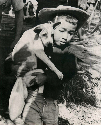 Bé trai ôm theo con chó khi đi di tản khỏi khu vực bị quân địch tấn công. Ảnh chụp ngày 16/1/1967.