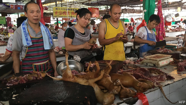 Giống Hàn Quốc, người Trung Quốc cũng có truyền thống ăn thịt chó từ xa xưa. Thậm chí, người dân nơi đây còn có cả lễ hội thịt chó.