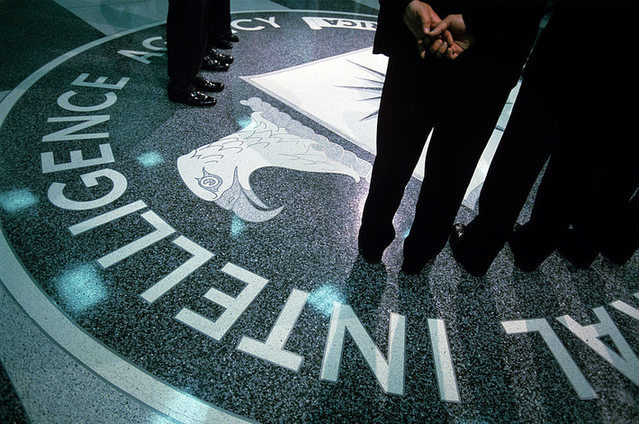 Một số nguồn tin cho rằng, từng có thời điểm, Chiến dịch Mockingbird của CIA có ảnh hưởng tới 25 tờ báo uy tín trong nước.