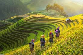 Vào năm 2019, U.S. News & World Report công bố xếp hạng các nền kinh tế tốt nhất để đầu tư. Trong đó, Việt Nam xếp thứ 8 trong top 20 nền kinh tế tốt nhất để đầu tư.