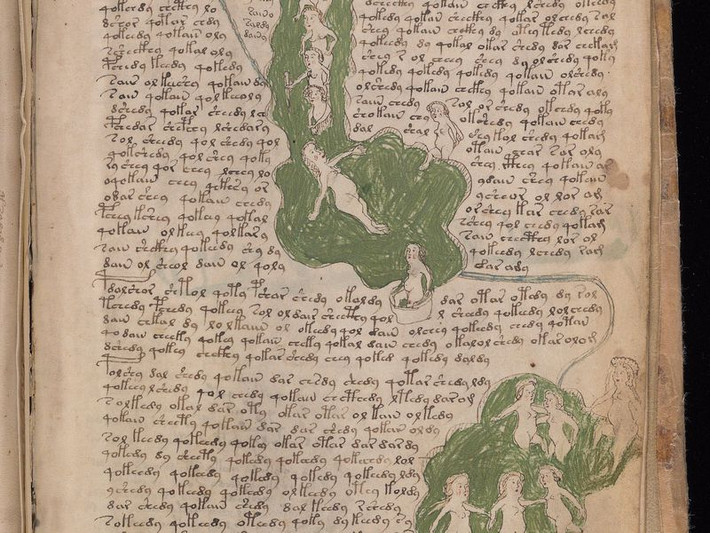 Bên trong bản thảo Voynich trình bày bởi loại ngôn ngữ mà không ai có thể đọc hiểu và chưa từng tìm thấy ở bất kỳ nơi nào.