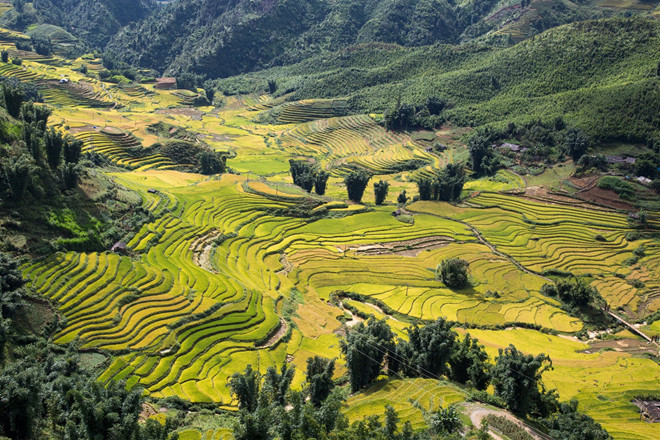 Sa Pa cũng nằm trong top 28 điểm đến hấp dẫn nhất thế giới năm 2019. Danh sách này do National Geographic - tạp chí uy tín của Mỹ công bố.