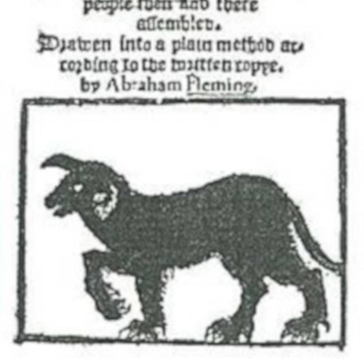 Các nhân chứng cho hay đã nhìn thấy khoảng 20 - 30 con Black Shuck trong suốt 50 ngày liên tục.