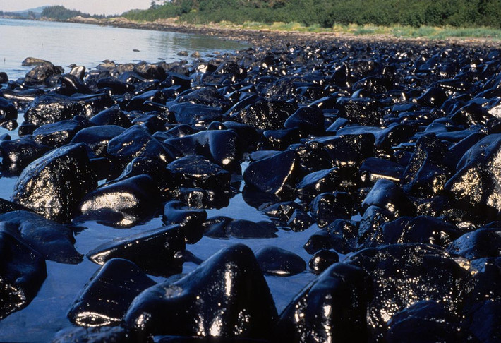 Do vậy, vào năm 1994, tòa án Anchorage tuyên phạt Exxon bồi thường thiệt hại cho các nạn nhân bị ảnh hưởng bởi vụ tràn dầu 5 tỉ USD.
