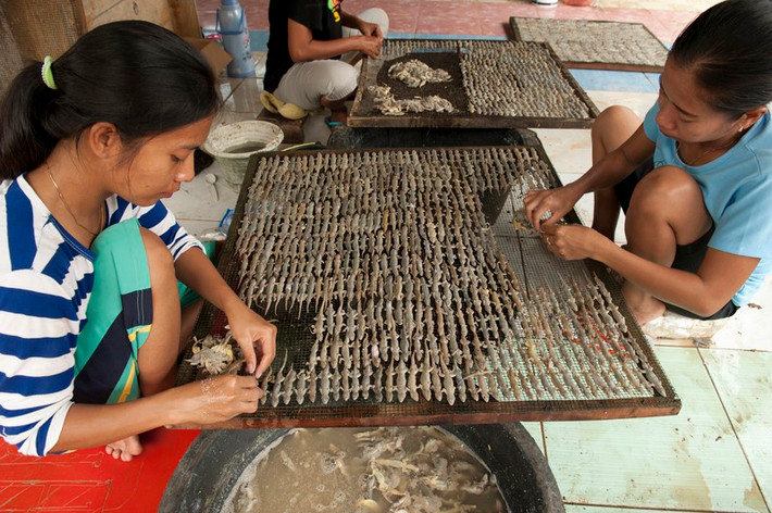 Indonesia có một nơi gọi là thánh địa thằn lằn, nơi chuyên chế biến đặc sản thằn lằn khô, nằm ở làng Kapetakang, thuộc tiểu khu Kapetak, Cirebon.
