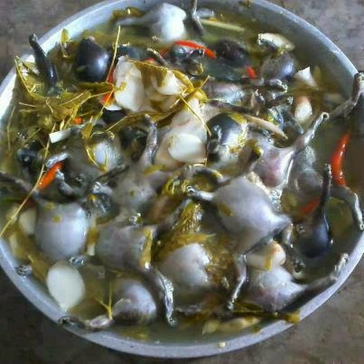 Tuy nhiên, ếch òn lại được đánh giá là món ăn giàu chất đạm, ngọt thịt, thơm, mềm như thịt lợn. Cách chế biến ếch òn cũng rất đa dạng như luộc, nướng, chiên giòn, làm gỏi và nổi tiếng nhất là món canh chua ếch òn nấu lá me non.