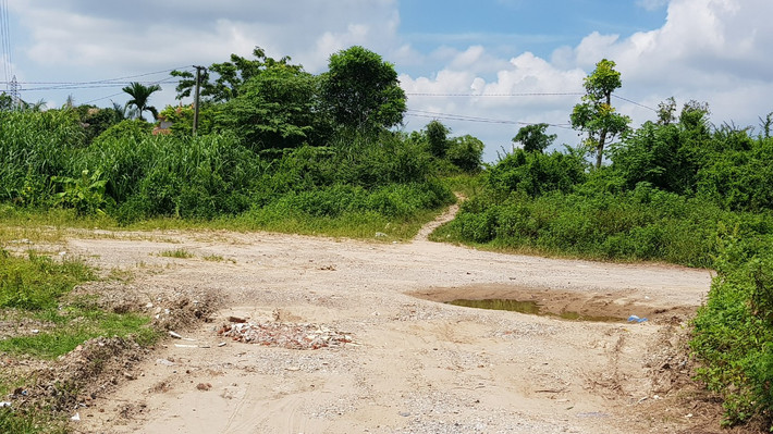 ...đến nột con đường nhỏ qua đê.