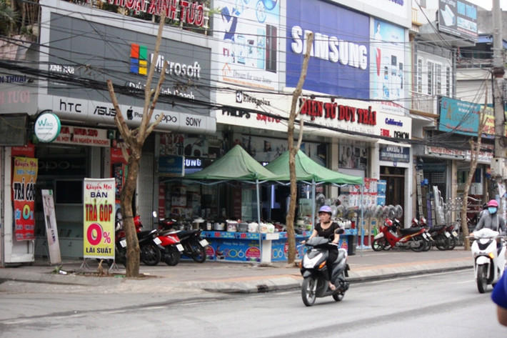 Ông Trần Xuân Trường, Phó giám đốc Ban quản lý dự án, công trình thành phố Cẩm Phả cho biết, số lượng cây phải thay thế nằm trên các con phố là Bà Triệu, Trần Phú, Thanh Niên...Các cây được chọn để trồng trên các con phố này là Sưa trắng, Sấu, Sao đen, Điệp vàng, Phượng đỏ và Long não. Chi phí trồng mới tùy loại cây như sưa trắng khoảng 6 triệu đồng/cây, cây sấu chỉ khoảng 700-800.000/cây với khoảng cách từ 8-10 mét/cây. Nguồn vốn từ ngân sách và xã hội hóa.
