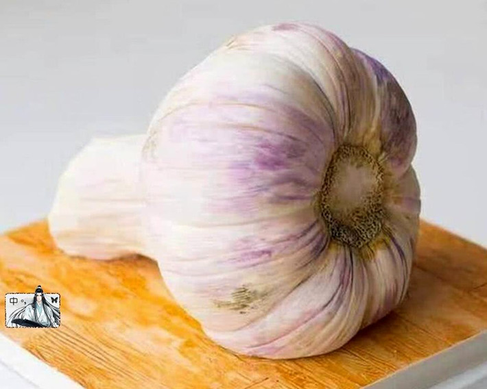 Chiếc bánh gato hình củ tỏi khổng lồ.