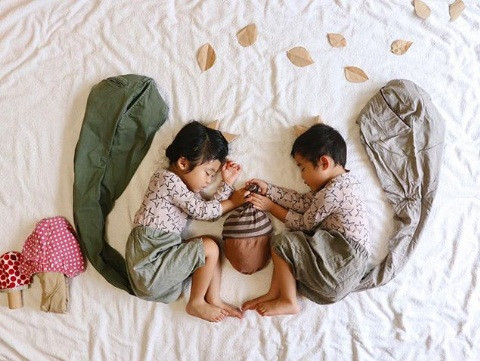 Hai chú sóc tranh nhau hạt dẻ.