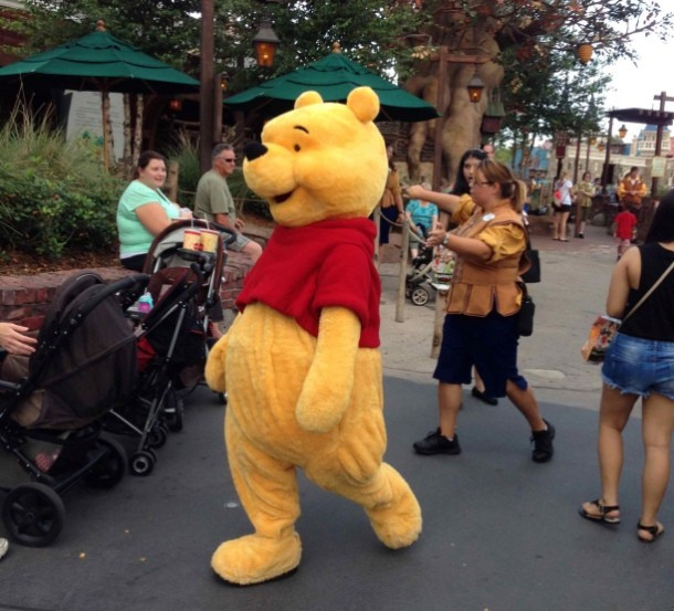 5. Chú gấu Winnie the Pooh bị cấm tại một sân chơi ở thị trấn nhỏ Tuszyn, Ba Lan. Bởi lẽ, chính quyền địa phương cho rằng gấu Pooh không thích hợp với trẻ em vì không mặc đầy đủ quần áo và có “giới tính không rõ ràng”.