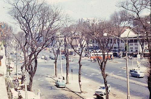 Những hàng cây khẳng khiu trong mùa thay lá trên đường Lê Lợi.