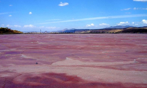 Nằm trong thung lũng Great Rift được hình thành từ cách đây 35 triệu năm, hồ Magadi có nước màu đỏ vô cùng độc đáo.