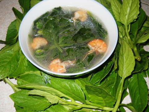 Giúp thanh nhiệt: Theo Đông y rau lủi có vị cay, ngọt thơm, tính bình. Loại rau này có tác dụng thanh nhiệt, giải độc, giúp lợi tiểu, tiêu viêm, tán ứ tiêu thũng. Ảnh minh họa