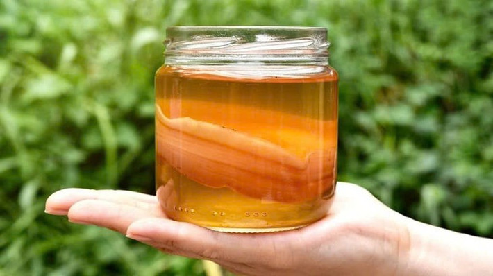 Trà kombucha nổi tiếng vì có vẻ ngoài lạ mắt và cung cấp nguồn probiotics dồi dào, tốt cho sức khỏe đường ruột. Ngoài ra, trà kombucha còn chứa nhiều chất dinh dưỡng khác, mang lại những lợi ích tuyệt vời cho sức khỏe. Ảnh minh họa