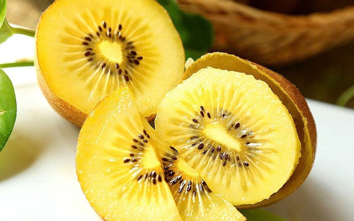 Tốt cho hệ tiêu hoá: Chất xơ trong kiwi giúp thúc đẩy quá trình tiêu hóa, hỗ trợ điều trị cả táo bón và tiêu chảy. Kiwi cũng chứa kali, một chất điện giải quan trọng cũng giúp ích cho hệ tiêu hóa. Một yếu tố góp phần quan trọng khác ở đây là actinidin, một loại enzyme được tìm thấy trong quả Kiwi. Enzyme này cũng hỗ trợ tiêu hóa, thúc đẩy quá trình tiêu hóa protein trong thức ăn. Ảnh minh họa