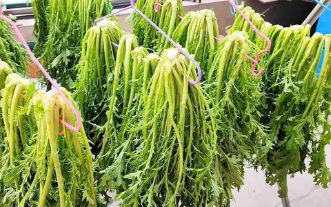Tăng cường sức khỏe mắt: Cải mizuna chứa một lượng khá lớn vitamin A. Nó cũng là một nguồn tốt để cung cấp lutein – một loại carotenoid có tính chất chống oxy hóa có thể giúp bảo vệ tầm nhìn và sức khỏe mắt của bạn. Các nghiên cứu chỉ ra rằng việc tăng lượng lutein có thể làm giảm nguy cơ rối loạn như thoái hóa điểm vàng liên quan đến tuổi tác.