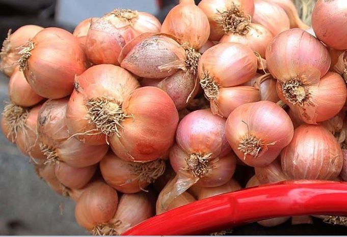 Hành tỏi Kinh Môn: Hành tỏi ở đây có củ tròn mẩy và hương thơm đặc trưng hấp dẫn. Do vậy, du khách đến Hải Dương, thường mua hành tỏi Kinh Môn về dùng và làm quà cho người thân, bạn bè. Ảnh: Internet. Mời độc giả theo dõi video "Chế biến món ngon từ nấm đông cô". Nguồn: VTC.