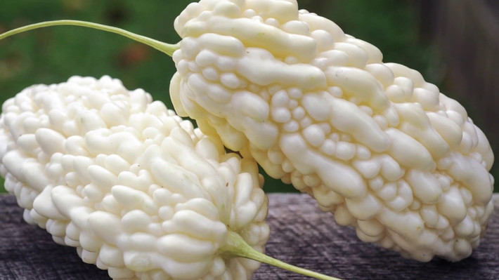 Giàu vitamin và khoáng chất, mướp đắng trắng còn được dùng như một loại thực phẩm hỗ trợ nhiều loại bệnh, trong đó có tiểu đường type 2.