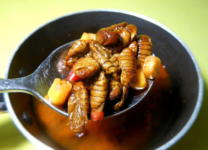Quá trình chuẩn bị món ăn Beondegi khá đơn giản. Sâu tằm được chọn lọc và nấu chín bằng cách luộc hoặc chiên.