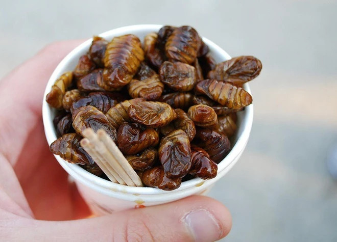Theo nhiều người, sâu tằm là nguồn protein tự nhiên, vì vậy Beondegi cung cấp một lượng nhất định protein.