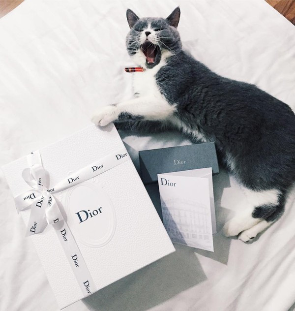 Chi Pu khoe hai món hàng hiệu từ Dior mà cô nàng tự mua để tặng cho chính mình. Ảnh: FBNV.