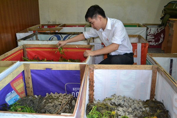 Đang là một thầy giáo trẻ giảng dạy tại trường THPT, tình cờ một lần anh Nguyễn Thế Thắng (SN 1979, trú tại TP. Vinh, Nghệ An) xem chương trình về kỹ thuật nuôi dế. Từ đó, anh Thắng đã thoát nghèo và vươn lên làm giàu từ nghề nuôi côn trùng. Ảnh: Vietnamnet.