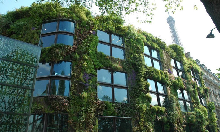 Theo điều luật mới, người dân Paris được khuyến khích trồng cây để hướng tới một thành phố xanh. Do đó, nhiều tòa nhà độc đáo với mặt tiền phủ cỏ xanh mướt.