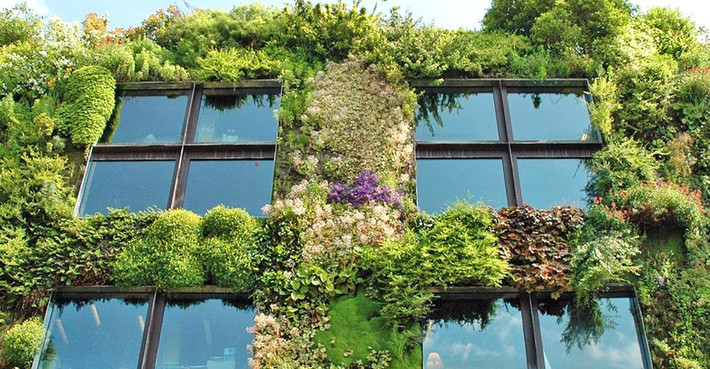 Nhiều doanh nghiệp ở Paris đã chọn cách phủ xanh mặt tiền tòa nhà để mang tới không gian xanh cho thành phố.