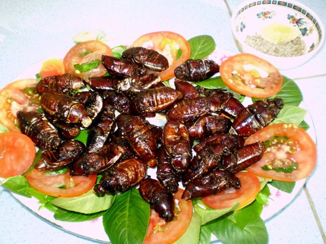 Bọ rầy chiên là món ăn khoái khẩu của nhiều thực khách khi đến An Giang. Những chú bọ rầy tròn căng, vàng ươm được đặt nằm trên đĩa. Món này có mùi thịt rất thơm, dai và bùi rất dễ ăn, khác xa với vẻ bề ngoài.