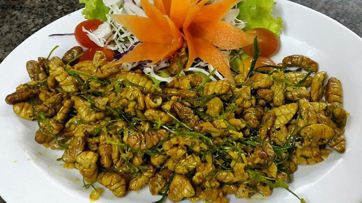 Các món ăn làm từ nhộng tằm đã trở thành món ăn không hề lạ trong các bữa ăn của không ít người Nghệ An nói riêng và người Việt Nam nói chung.