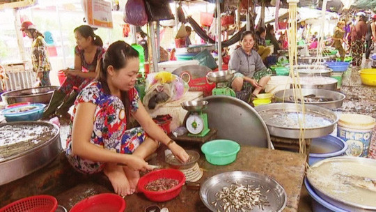 Khi mưa rả rích trên đồng, lũ bắt đầu dâng, cá từ thượng nguồn sông Mekong xuôi về, lên đồng để đẻ, bắt đầu mùa cá linh. Cá linh lúc này nhỏ chỉ bằng đầu đũa, gọi là cá linh non, thịt ngọt béo.