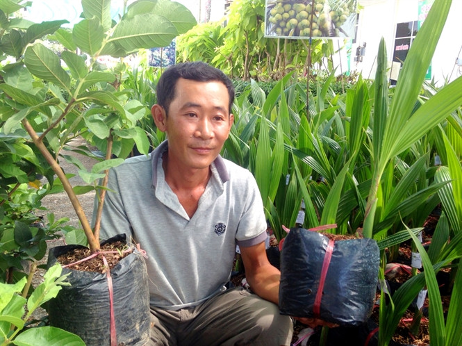 Anh Khương (35 tuổi, ấp Đông Bình, Đông Phước, Châu Thành, Hậu Giang) thu lãi hàng tỷ đồng mỗi năm từ vườn ổi không hạt 1,4ha và 3 cơ sở sản xuất cây giống các loại. Ảnh: NNVN.