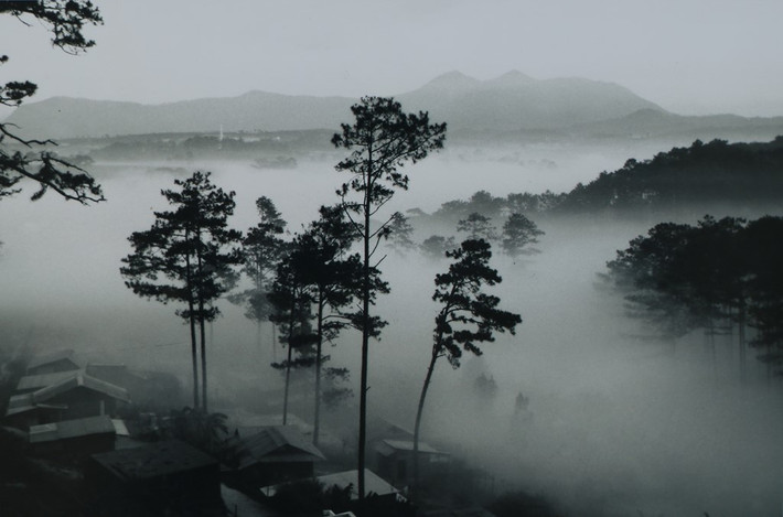 Sương sớm Đà Lạt, năm 1952. Ảnh: Đặng Văn Thông.