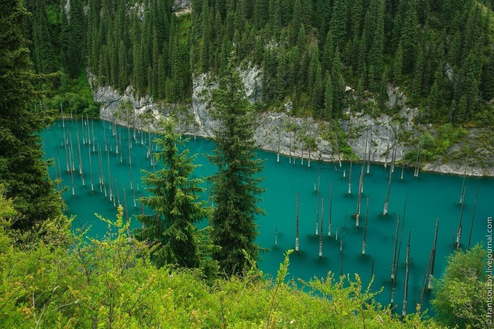 Hồ Kaindy, nằm trong khu rừng xanh mướt Sunken (Kazakhstan). Hồ được hình thành sau một trận động đất vào năm 1911. Bên trong lòng hồ là những cây vân sam mọc thẳng đứng, từ xa giống như những ngọn giáo khổng lồ. Ảnh: Aboutkazakhstan.