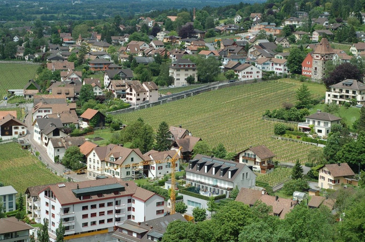 Mức thuế thấp và một chế độ tài chính ưu đãi biến Liechtenstein - nơi có đến 75 nghìn công ty nước ngoài (gấp đôi số dân Liechtenstein), hầu hết là ngân hàng, đăng ký hoạt động, trở thành thiên đường thuế đối với người châu Âu.