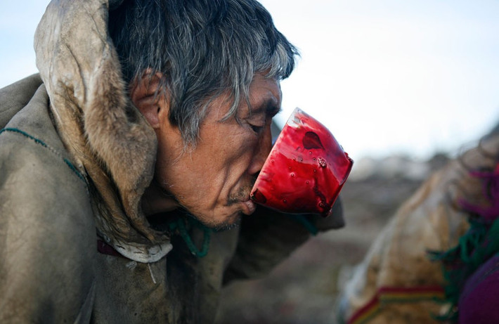 Với người Nenets, “tuần lộc là nhà của họ, là thức ăn, là sự ấm áp và là phương tiện di chuyển”. Dây thòng lọng bắt thú được làm bằng gân tuần lộc, dụng cụ và xe trượt tuyết làm bằng xương.
