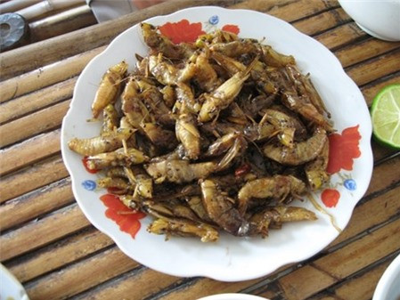 Con muỗm trước khi rang được om với nước măng chua hoặc giấm gạo trên bếp lửa liu riu. Sau khi nước cạn, người ta sẽ cho mỡ lợn hoặc dầu ăn vào rang muỗm tới khi khô sạch nước và chín giòn. Họ nêm gia vị, ớt, lá chanh và thưởng thức.