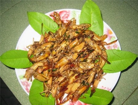 Muỗm rang Mường Lò là đặc sản Mù Căng Chải chỉ có vào mùa lúa chín được người dân vùng này đặc biệt ưa thích. Muỗm rang ngon nhất là được bắt vào mùa lúa chín, lúc những con muỗm béo vàng ươm, khi rang lên thơm lừng cực ngon.