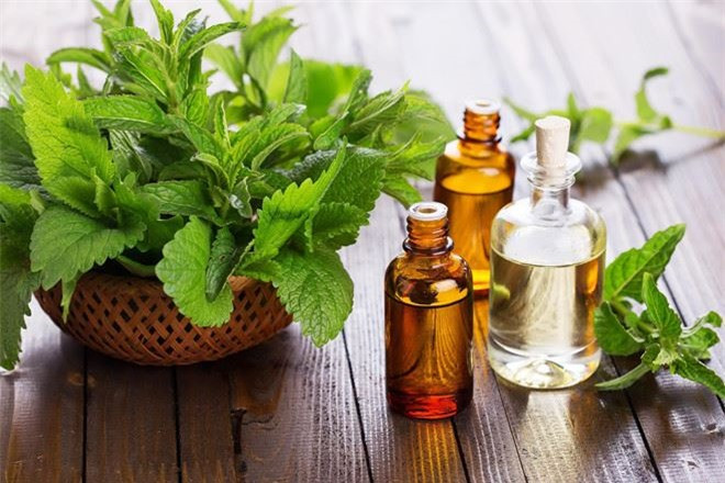 Bạc hà: Loại thảo dược này giúp hơi thở thơm mát và làm dịu dạ dày để giảm cảm giác buồn nôn. Trước và trong khi di chuyển, bạn nên ngậm bạc hà, nhai lá, ngậm một giọt tinh dầu hoặc uống trà bạc hà. Ảnh:Thesoucery.