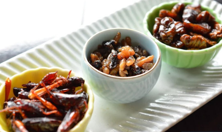 Ấu trùng chiên (Zazamushi) là một món ăn có hình thức và mùi vị khá đáng sợ ở Nhật Bản. Đây chính là món côn trùng được tẩm ướp chiên lên.