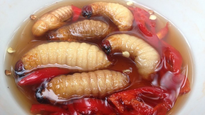 Đuông dừa: Đây là món đặc sản nổi tiếng của người miền Tây. Hình dáng bề ngoài của đuông dừa có thể khiến nhiều người ghê sợ nhưng đây thực sự là món ngon bổ dưỡng.